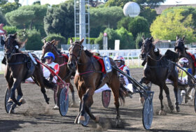 All’Ippodromo Capannelle il grande spettacolo del trotto