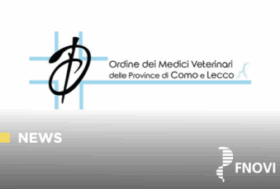 L’OMV di Como e Lecco ha promosso un concorso per onorare la memoria del collega Alberto Tamagnone