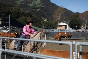 Trionfo del western riding: successo per la prima edizione del Trofeo Valsassina Cup a Barzio