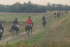 “Caccia alla Volpe – rigorosamente simulata”