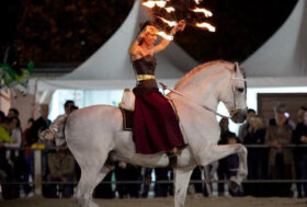 L’Accademia Teatro Equestre Zebre alla Fiera del Cavallo di Forlì