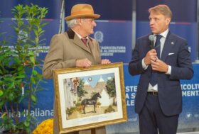 Quattro proposte per i prossimi 100 anni del Cavallo Murgese