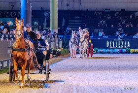Il GIA in Fieracavalli a Verona