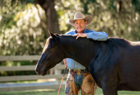 Dalla tecnologia alla cultura equestre