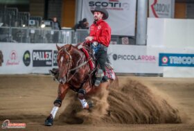 All Futurities Cremona 2025: dove il western diventa glamour