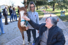 Al via il progetto “UN CAVALLO SOTTO GLI ALBERI”