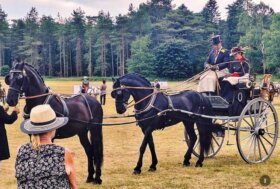 Attacchi: Un Concorso “Reale”