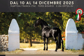 18° Mostra Nazionale libro genealogico Cavallo Murgese e registro anagrafico Asino Martina Franca