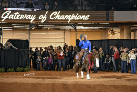 Reining: Clinic di Casey Deary il 7 e 8 febbraio a Bracciano