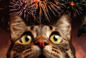 Urge intervento normativo che superi le Ordinanze e i Regolamenti comunali