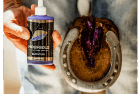 Cura degli Zoccoli in Inverno ❄️ Ancora fino -15% Extra Sconto su ciò che vuoi.