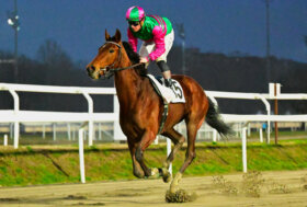 All’ippodromo Snai San Siro, nell’ultimo venerdì di gennaio con il galoppo, Sopran Lucca vince di misura su Red Maximus nella condizionata per il Premio Il Teatro Del Cavallo