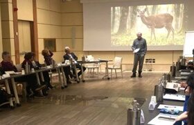 Uniti contro la caccia